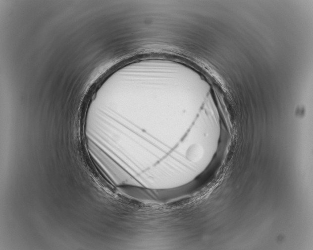 X0000096200877200802151523