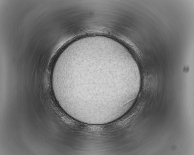 X0000096200878200802151523