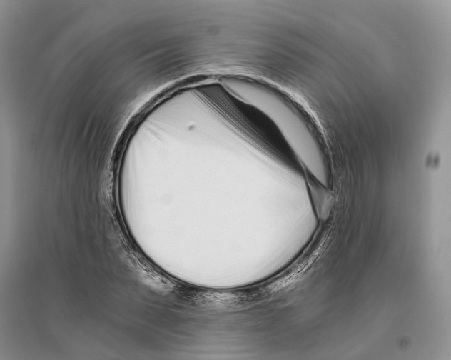 X0000096200879200802151523