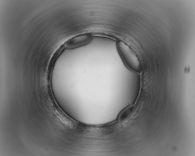 X0000096200880200802151523