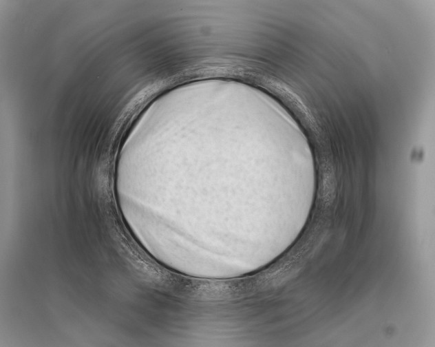 X0000096200882200802151523