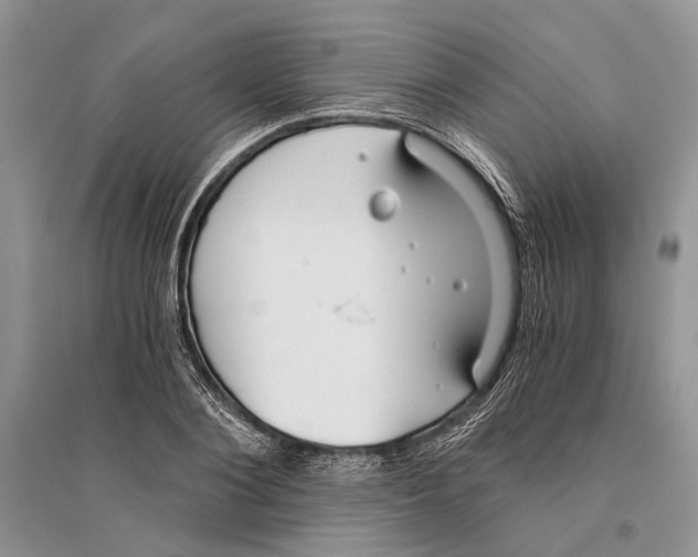 X0000096200884200802151523