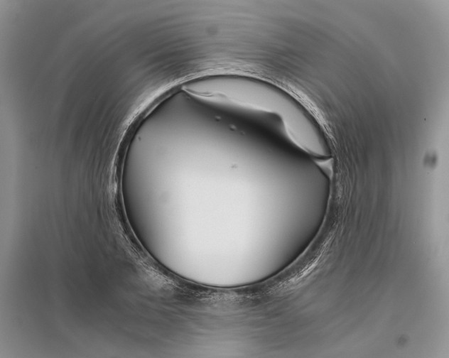 X0000096200885200802151523