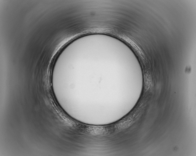 X0000096200886200802151523