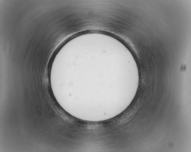 X0000096200887200802151523