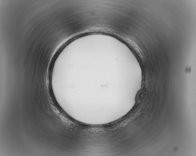 X0000096200888200802151523