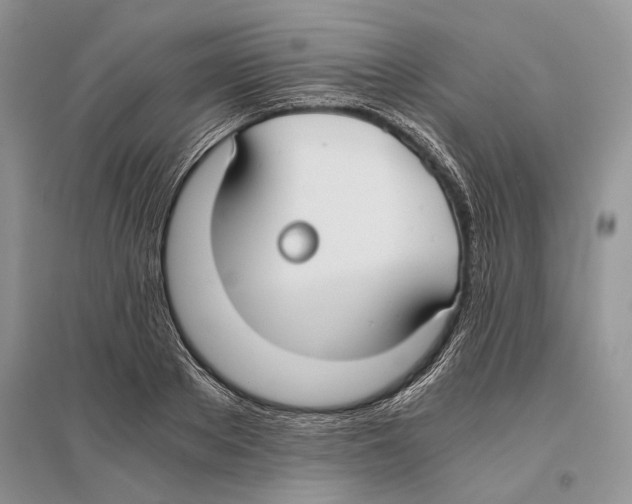 X0000096200889200802151523