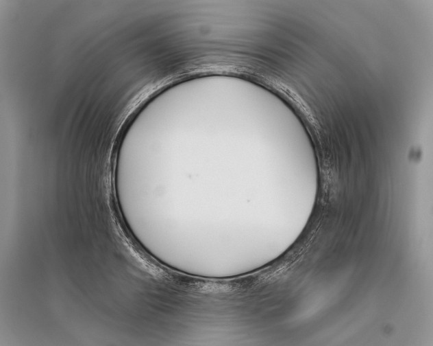 X0000096200890200802151523