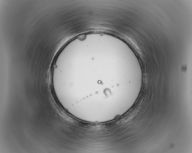 X0000096200891200802151523