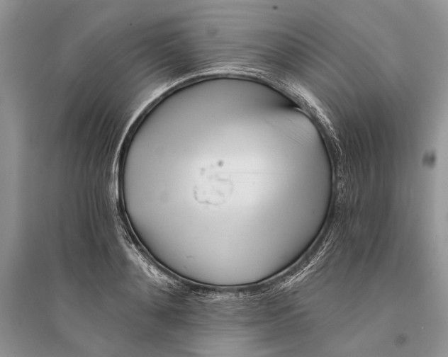 X0000096200892200802151523