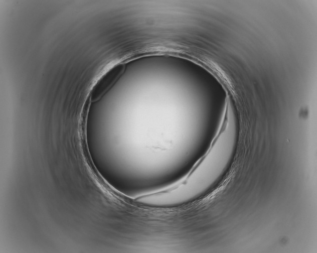 X0000096200893200802151523