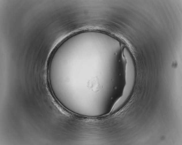 X0000096200894200802151523