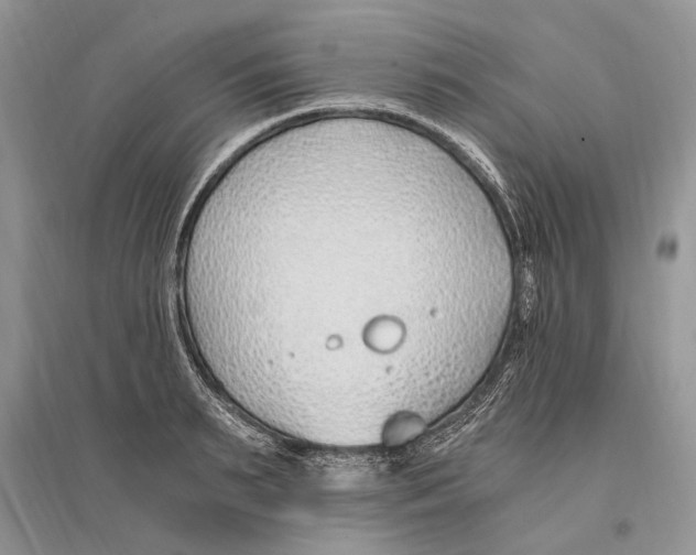 X0000096200895200802151523