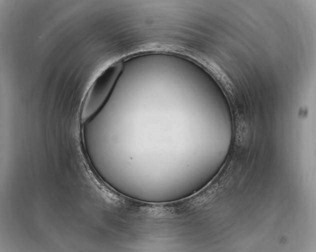 X0000096200896200802151523