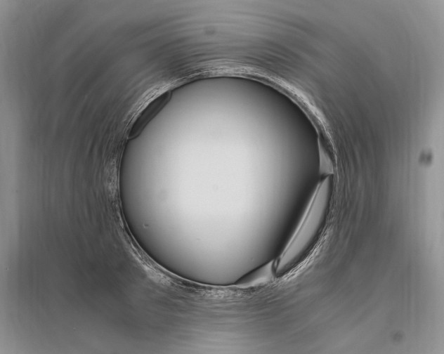 X0000096200897200802151523