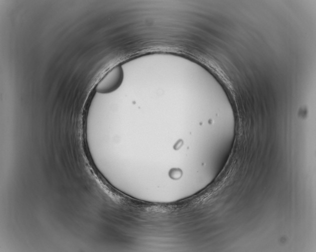 X0000096200898200802151523