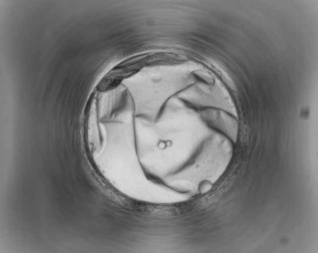 X0000096200899200802151523