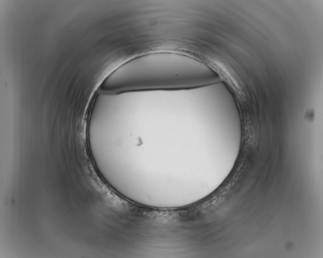 X0000096200900200802151523