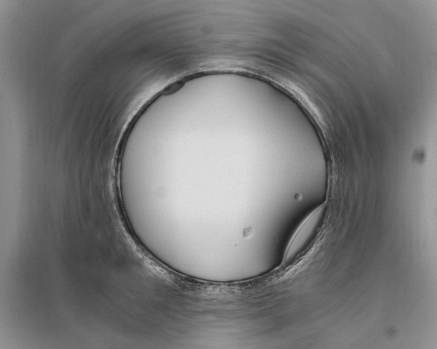 X0000096200901200802151523