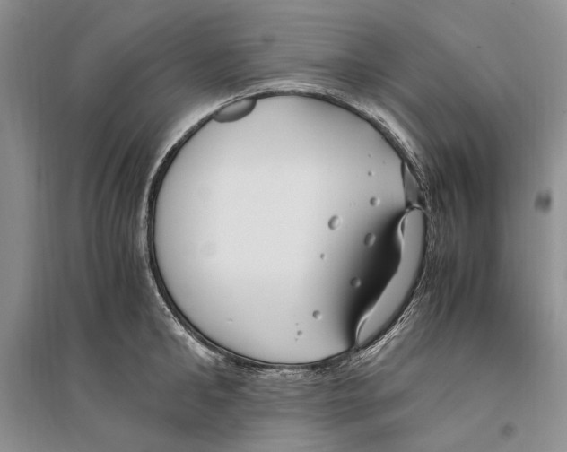 X0000096200902200802151523