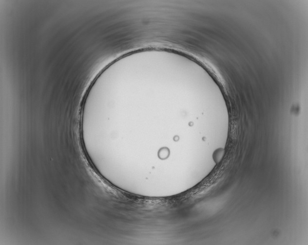 X0000096200903200802151523