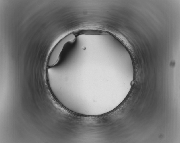 X0000096200904200802151523