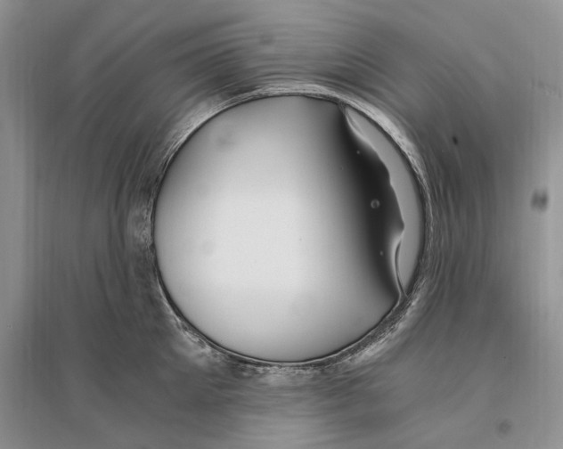 X0000096200905200802151523