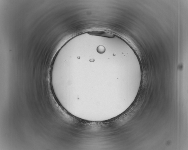 X0000096200906200802151523