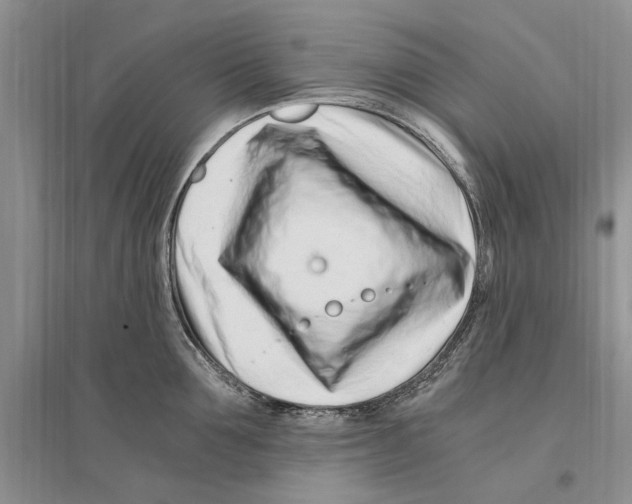 X0000096200907200802151523