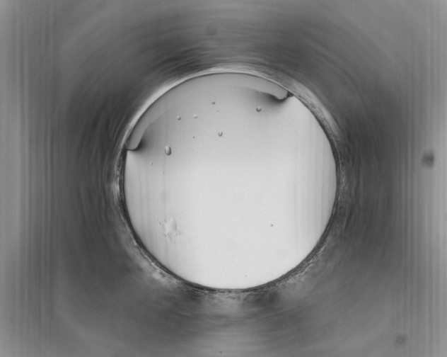 X0000096200908200802151523