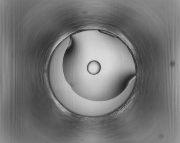 X0000096200909200802151523