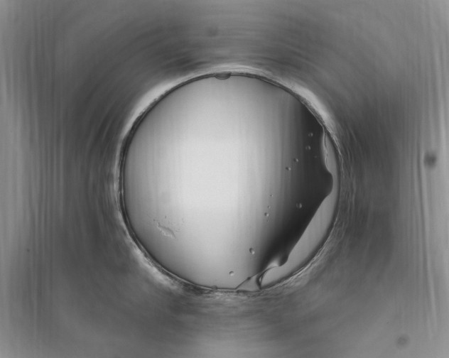 X0000096200910200802151523