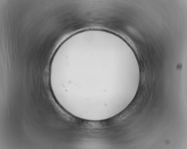 X0000096200911200802151523