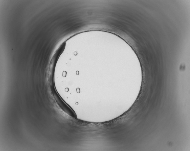 X0000096200912200802151523