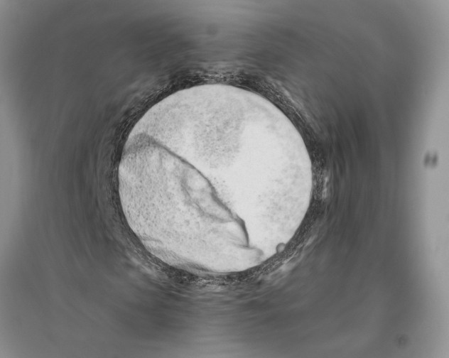 X0000096200913200802151522