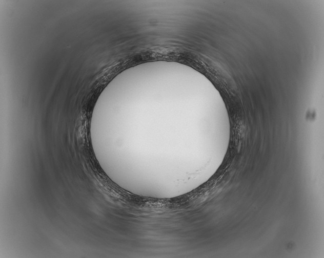 X0000096200914200802151522