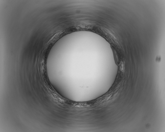 X0000096200915200802151522