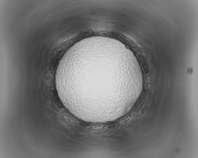 X0000096200917200802151522