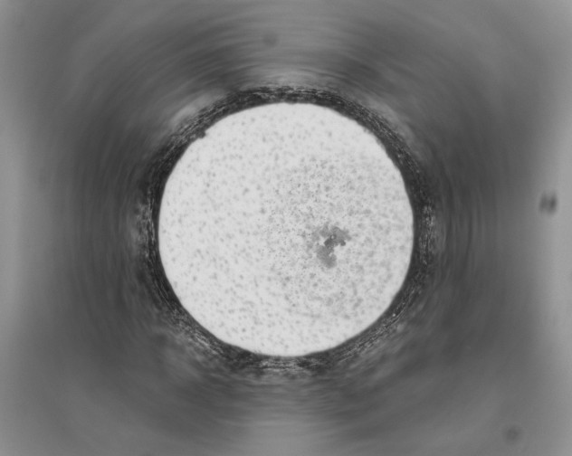 X0000096200918200802151522