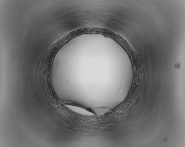 X0000096200919200802151522