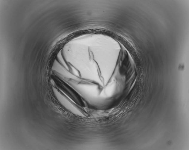 X0000096200920200802151522