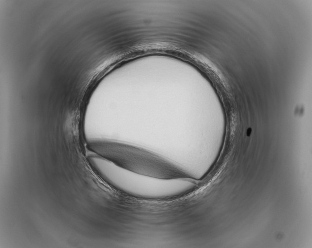 X0000096200921200802151522