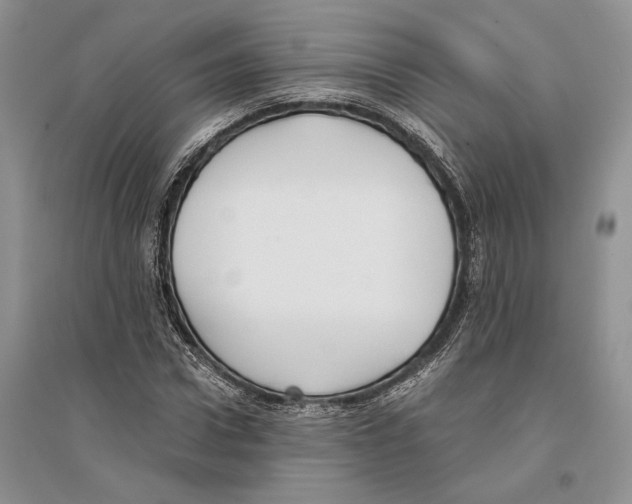 X0000096200922200802151522