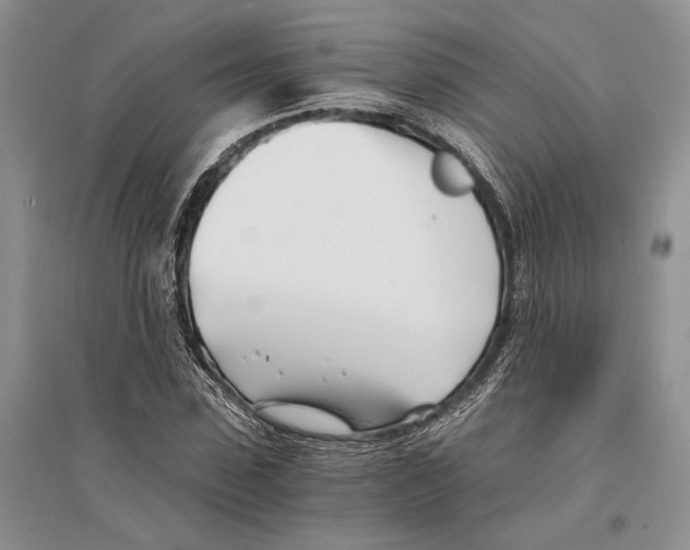 X0000096200923200802151522