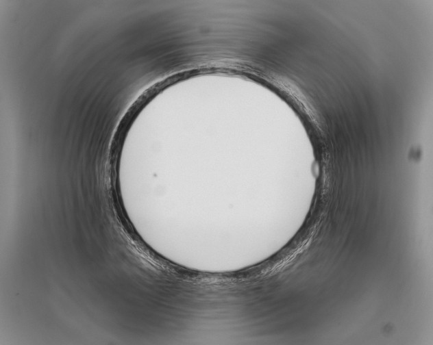 X0000096200924200802151522