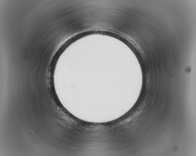 X0000096200926200802151522