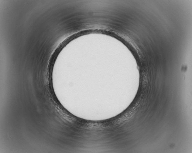 X0000096200927200802151522