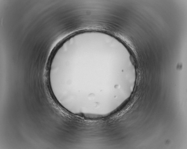 X0000096200928200802151522