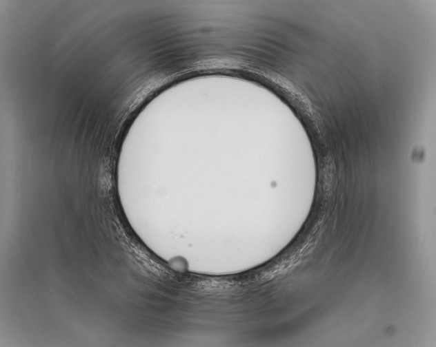 X0000096200929200802151522