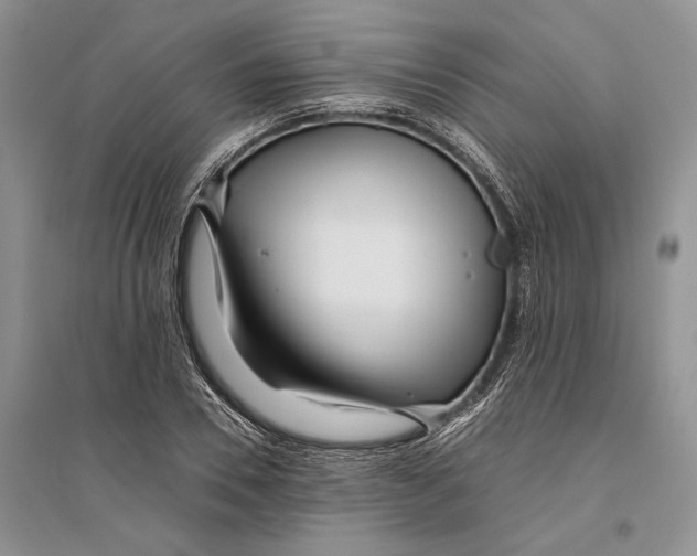 X0000096200930200802151522